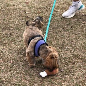 Meet your Posher, Valerie